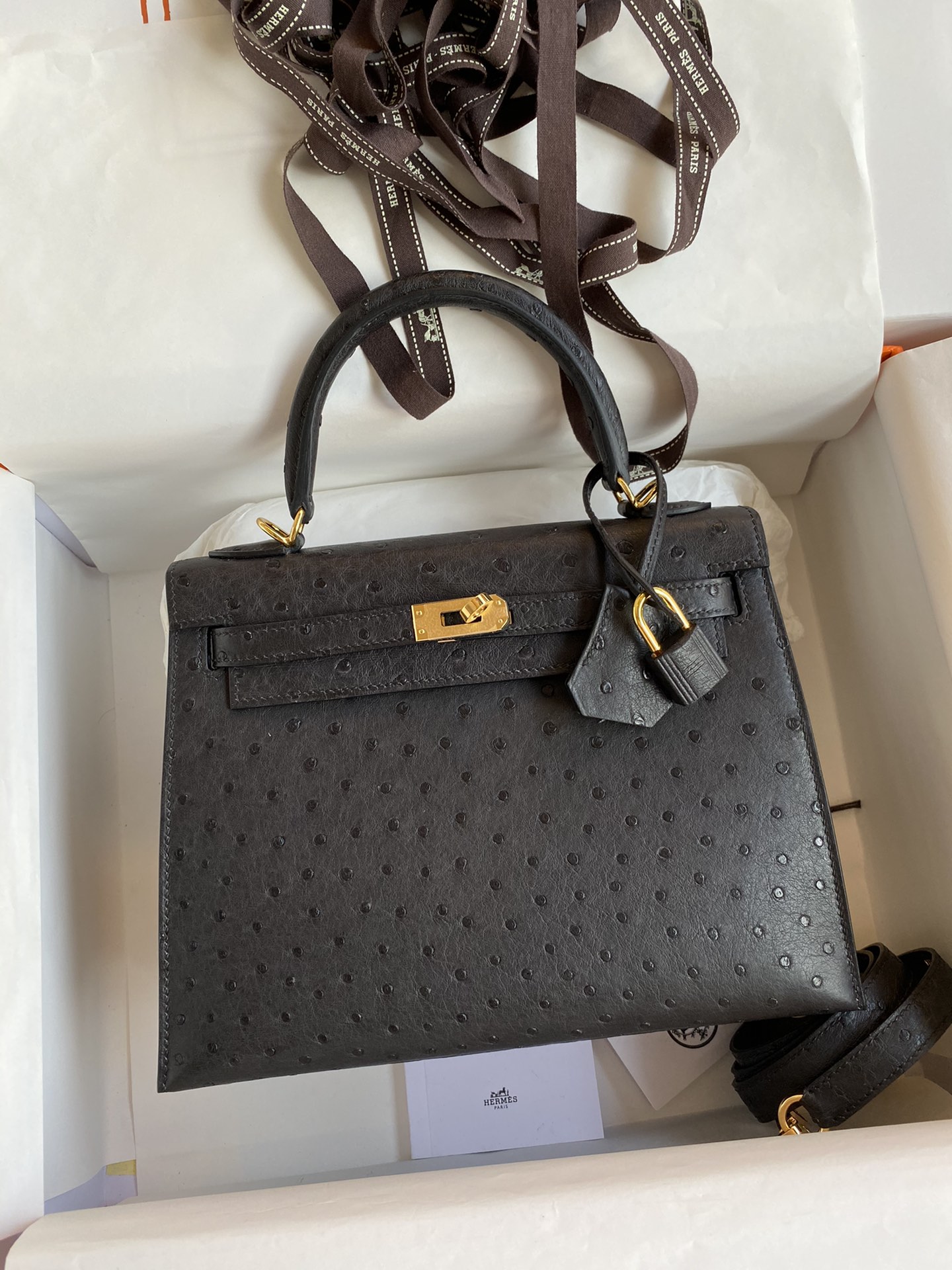 Hermes Kelly 25cm Handbag Shoulder Bag in Black Ostrich Leather